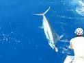 Montego Bay Jamaica Fishing expeditions