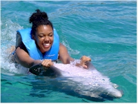 Jamaica Dolphins excursions