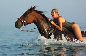  sexy horse back ride Falmouth Freedom shore activity 