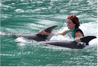 Montego bay cruise excursions dolphins cove