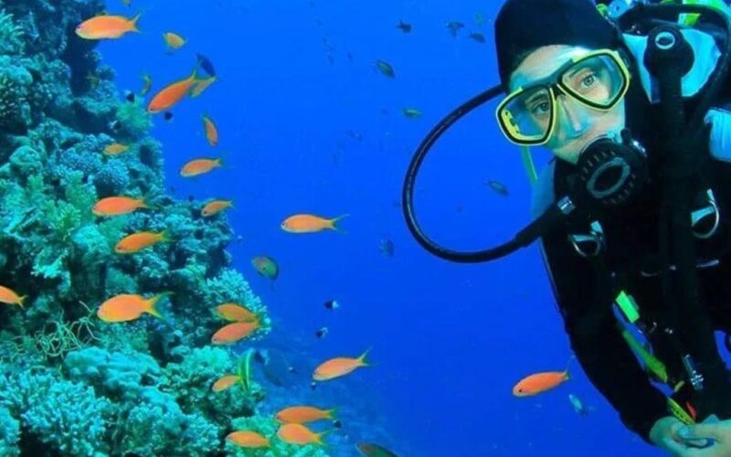 learn to scuba dive in Monntego bay